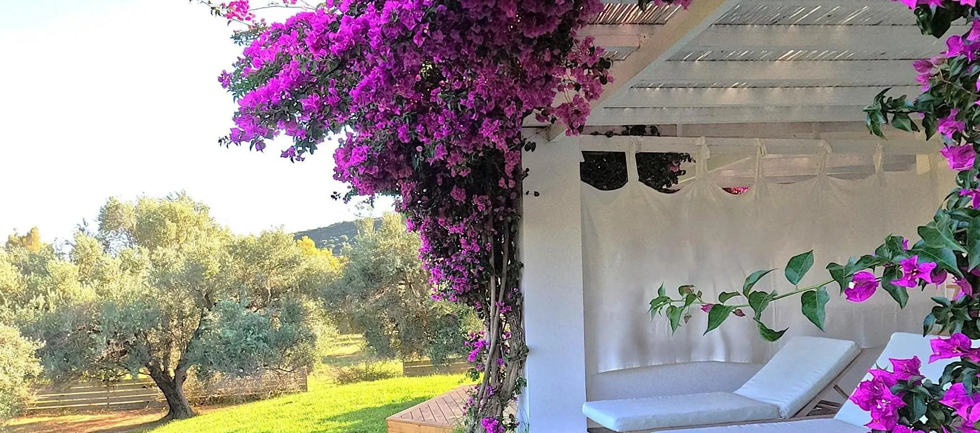 Olivemare Hotel Katelios