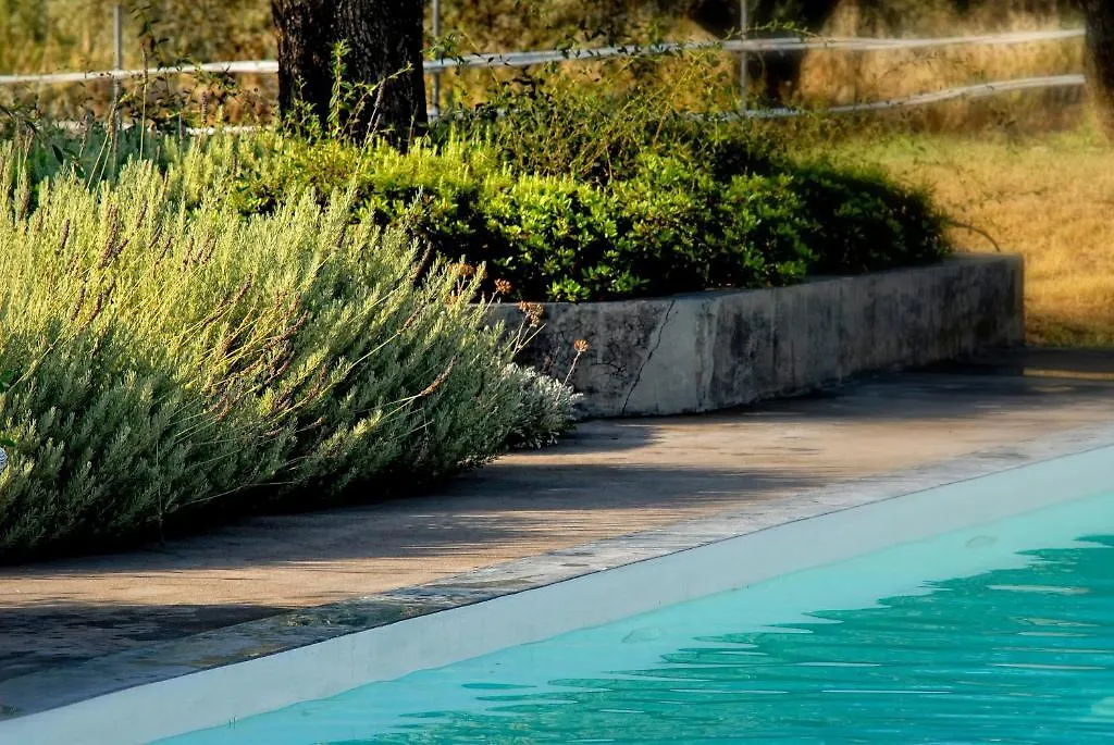 Olivemare Hotel Kateliósz
