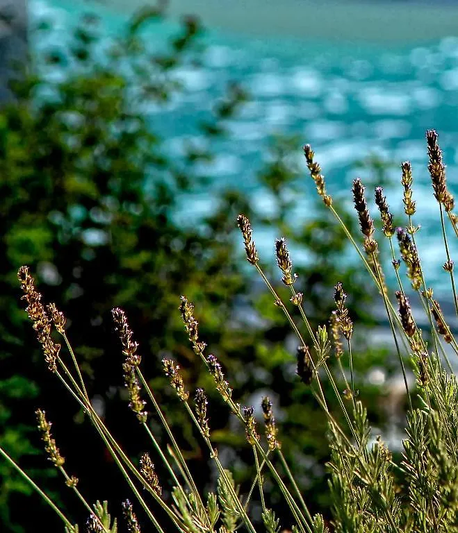 Olivemare Hotel Kateliósz